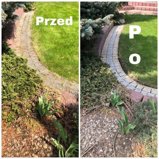 Profesjonalne mycie kostki elewacji dachu Starachowice