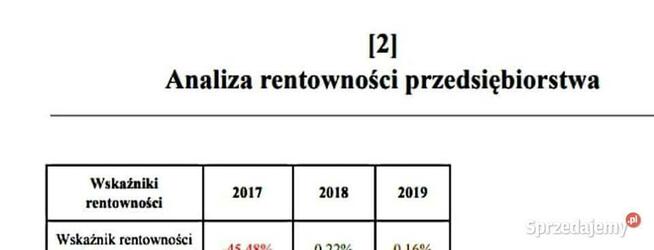 Analiza płynności, rentowności, zadłużenia - Projekt Studia