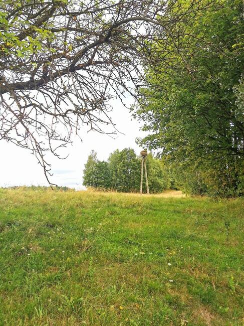 Działka rolna Nowa Karczma,