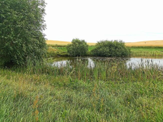 Działka rolna Nowa Karczma,