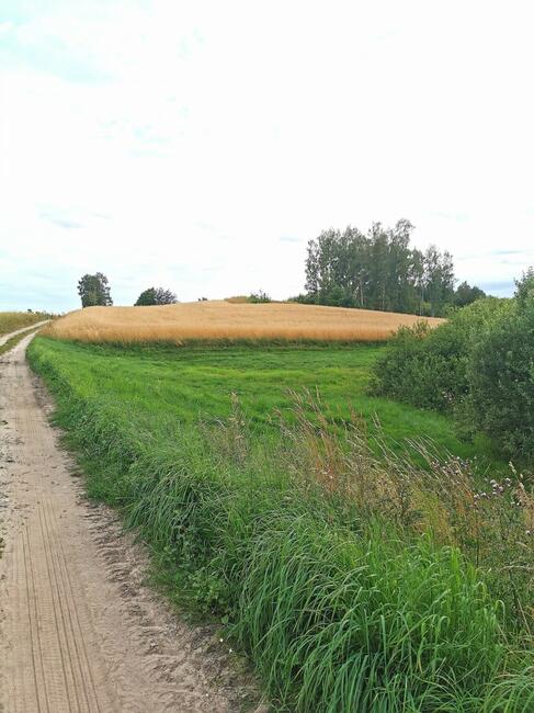 Działka rolna Nowa Karczma,