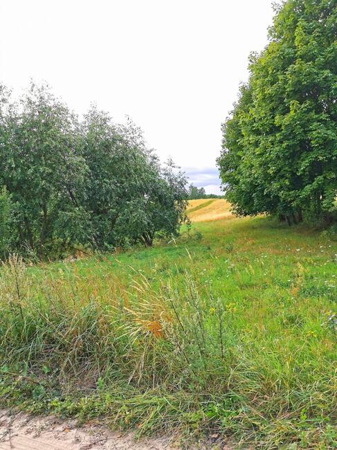 Działka rolna Nowa Karczma,