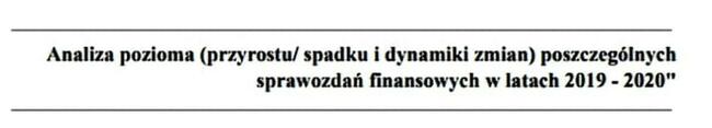 Wstępna analiza sprawozdań finansowych firmy ProjektStudia