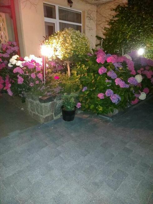 pokoje gościnne władysławowo