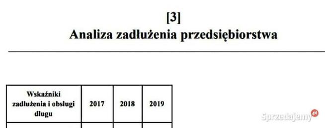 Analiza płynności, rentowności, zadłużenia - Projekt Studia