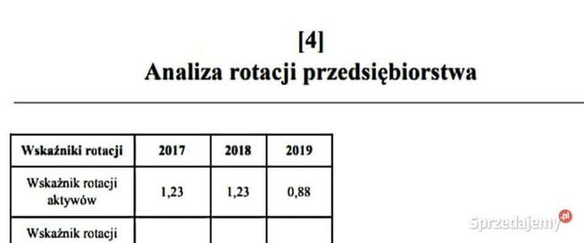 Analiza płynności, rentowności, zadłużenia - Projekt Studia
