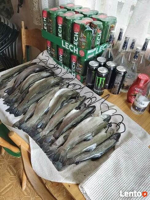 Gryfice okolice dobra zabawa 34l