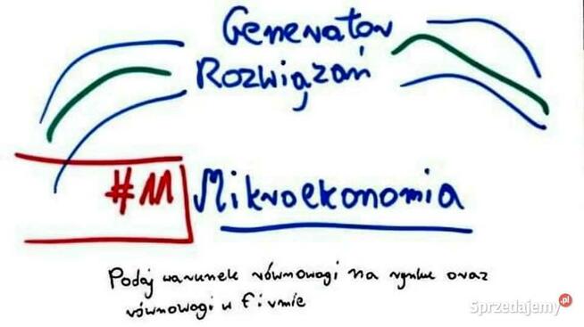 Monopol, popyt, elastyczność, równowaga Zestaw 4 rozwiązań
