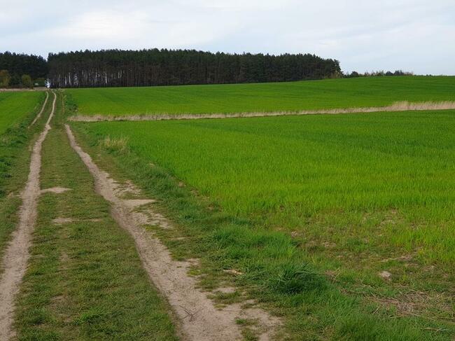 Sprzedaz dzialek nad morzem