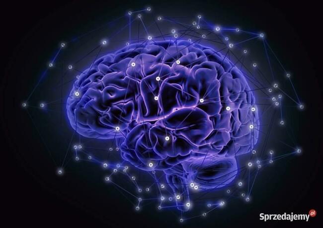 EEG BIOFEEDBACK