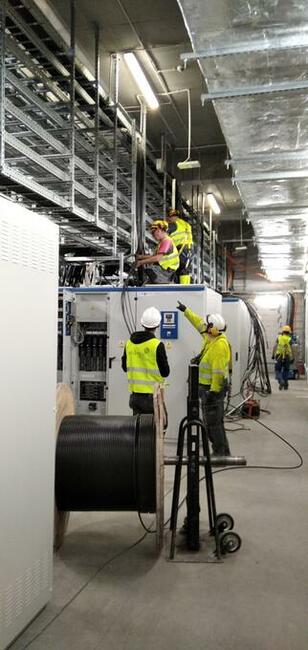 Brygadzista Elektryk