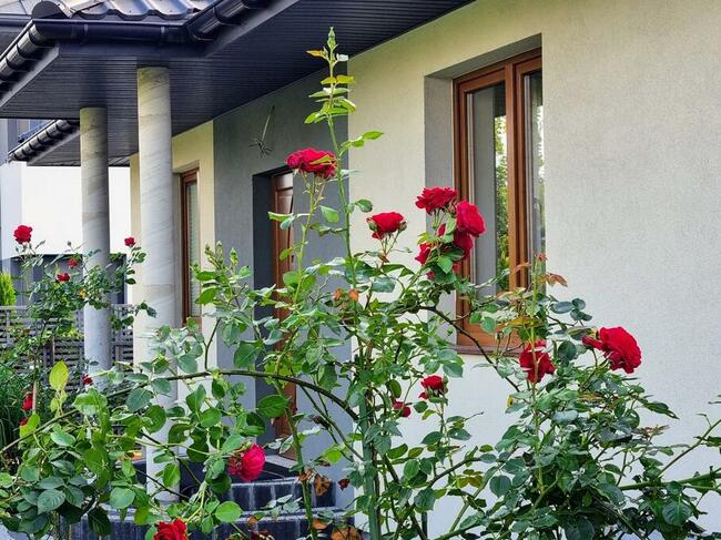 Dom Legionowo w okolicy SKM Piaski