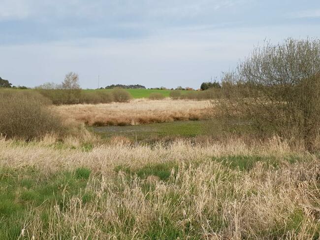 Sprzedaz dzialek nad morzem