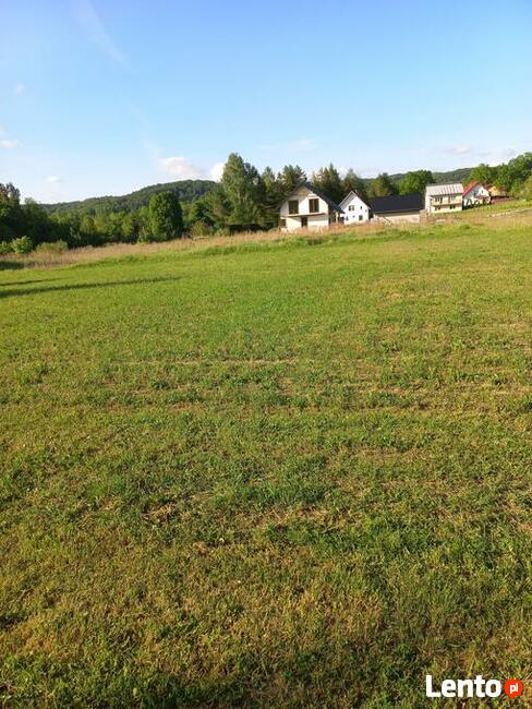 Działka w Gogołowie malownicza