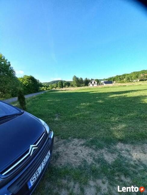 Działka w Gogołowie malownicza