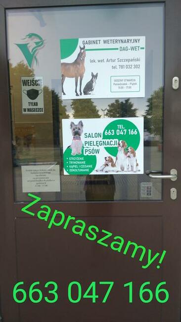 DagiStyl. Psi fryzjer.