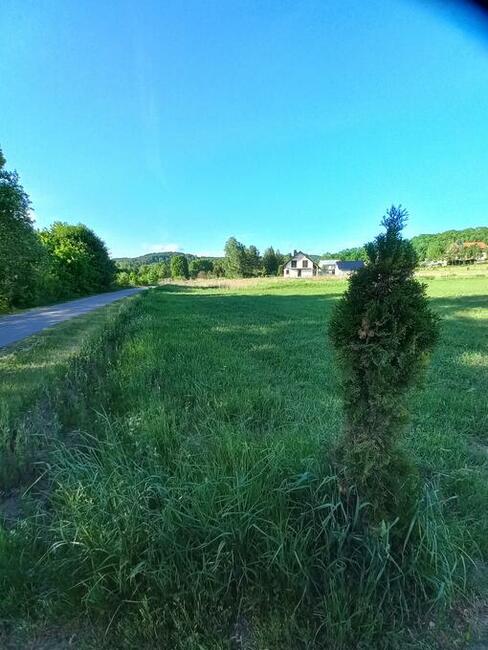 Działka w Gogołowie malownicza