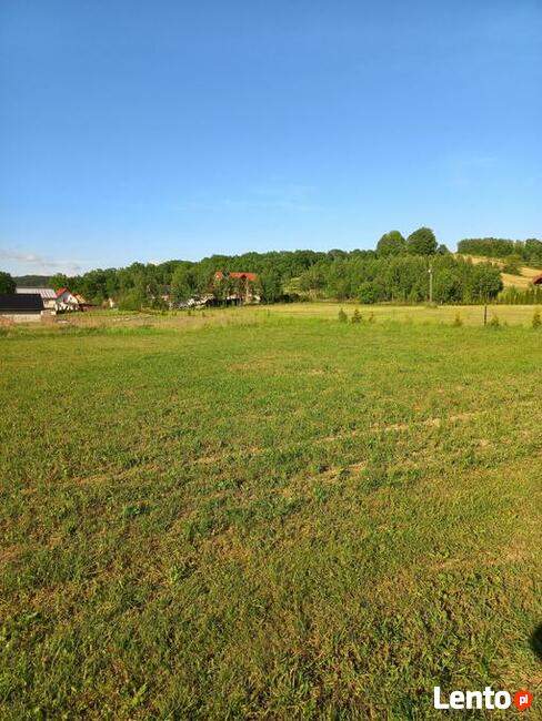 Działka w Gogołowie malownicza