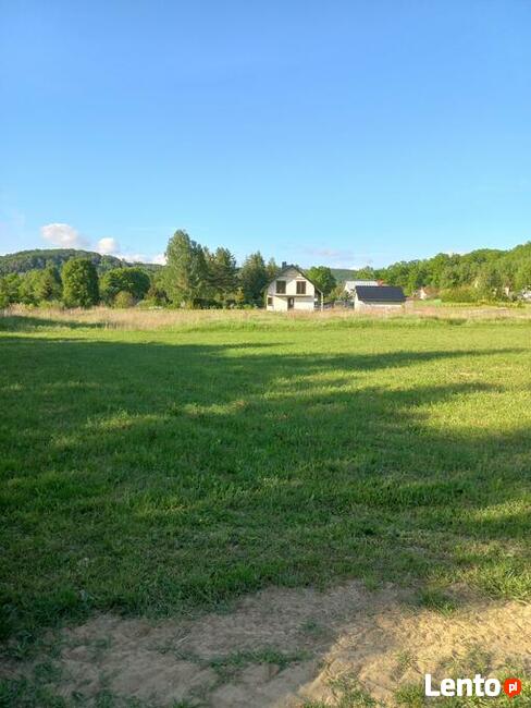 Działka w Gogołowie malownicza