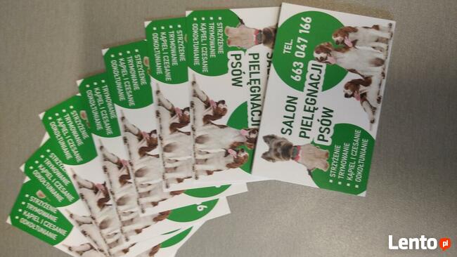 DagiStyl. Psi fryzjer.