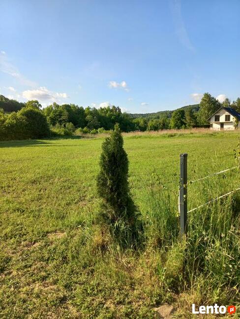 Działka w Gogołowie malownicza