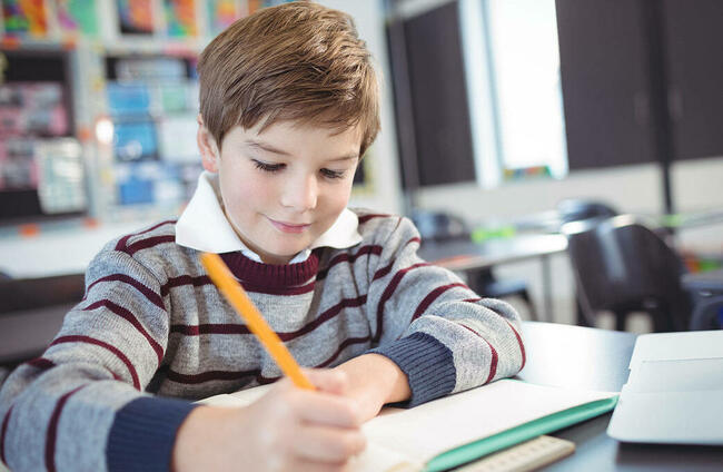 Korepetycje z j.angielskiego, rewalidacja, korekcyjne Mosina