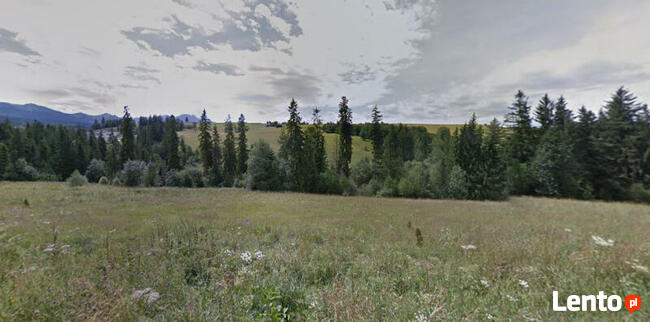 Zoniówka , działka inwestycyjna, WZ na 5 domów z VAT23%