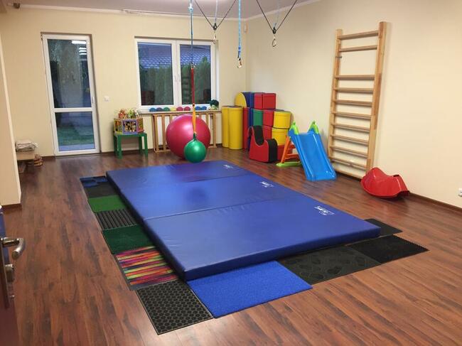 Zapraszamy Terapeutę SI