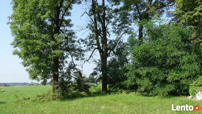 Działka budowlana 47 arów, Krawce + warunki zabudowy