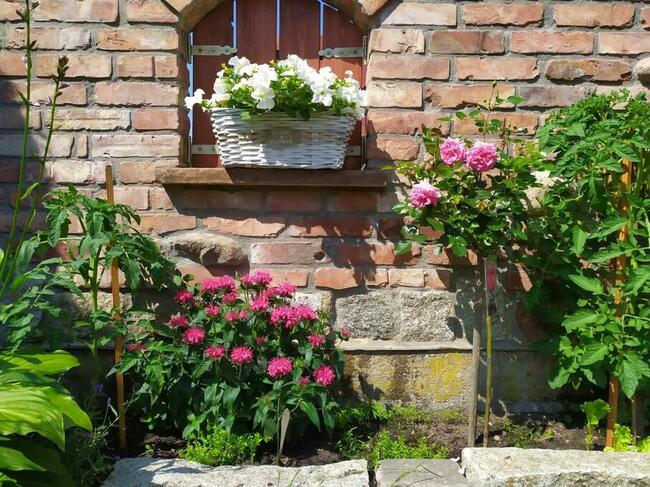 Pokoje do wynajęcia