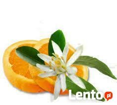Zapach Kwiat Pomarańczy (Neroli Orange) 10ml