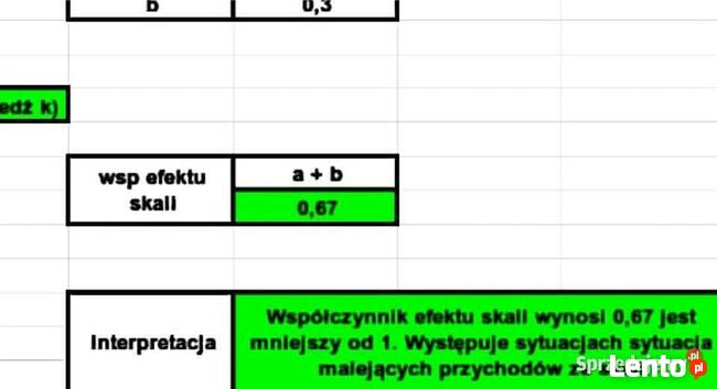 Funkcja Cobba-Douglasa - Rozwiązanie zadania Excel. Studia