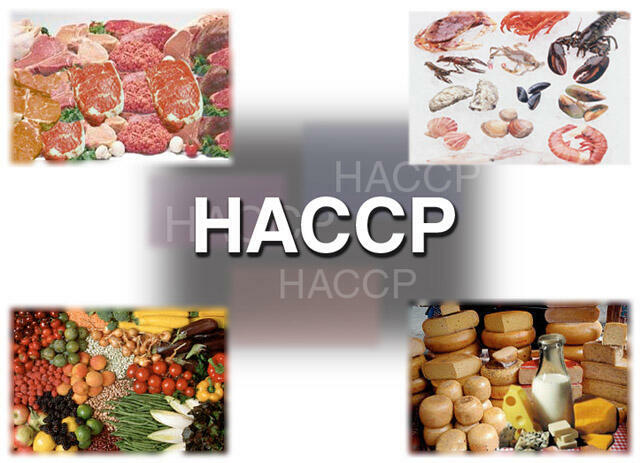 BHP NAKŁO Szkolenia BHP, HACCP, kursy z Pierwszej Pomocy