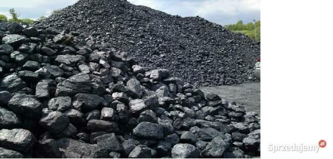 Polski węgiel typu orzech.