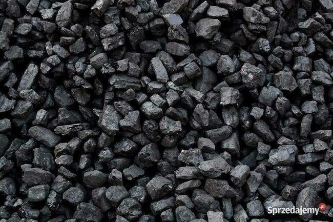 Polski węgiel typu orzech.