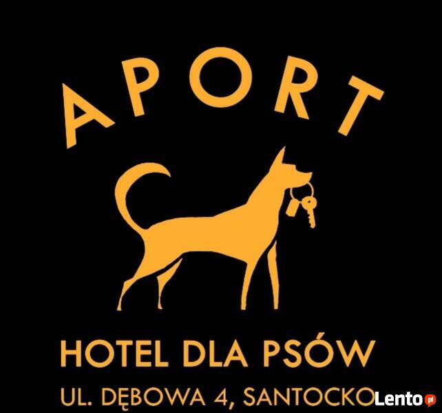 Hotel dla psów Aport Santocko Lubuskie Gorzów Wlkp.