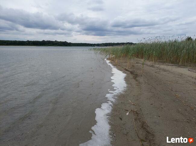Wynajem działki na cele turystyczne jezioro Powidz Skorzęcin