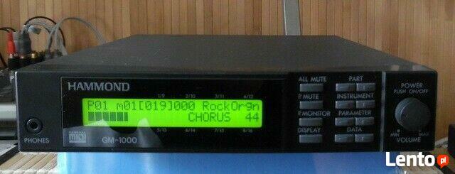 Hammond GM 1000, Moduł brzmieniowy (MIDI)