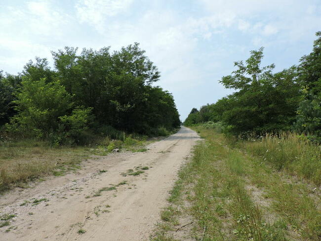 Duża działka w miejscowości Kłudno.