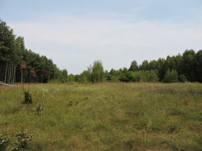 Duża działka w miejscowości Kłudno.