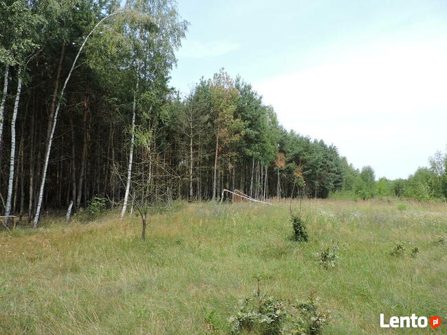 Duża działka w miejscowości Kłudno.