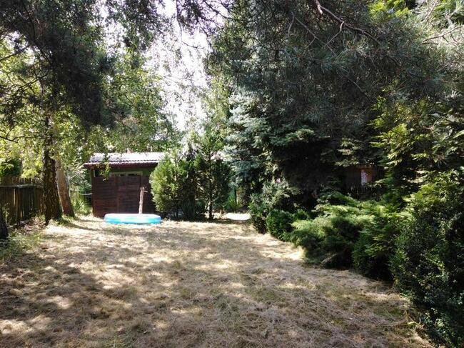 Domek letniskowy nad jeziorem Ługowiska, 6 Osób