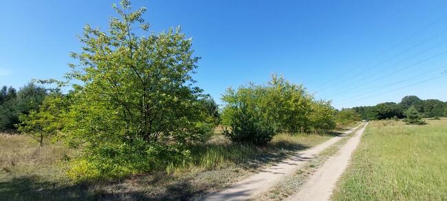 Działka 11 ar Rosocha- Kolonia gm. Golina