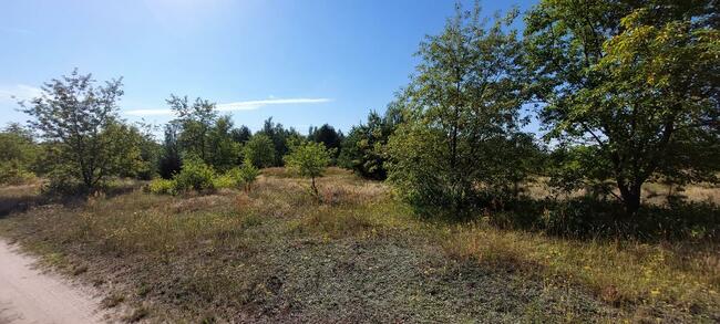 Działka 11 ar Rosocha- Kolonia gm. Golina