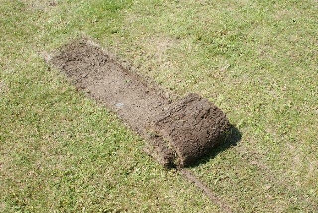 Wynajem wycinarka darni do 3,5 cm