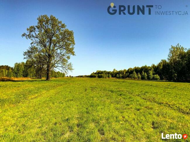 Kompleks działek budowlanych w atrakcyjnej lokalizacji