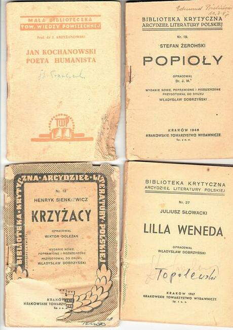 Opracowania literackie, bryki