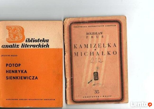 Opracowania literackie, bryki