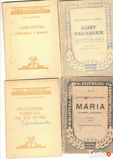 Opracowania literackie, bryki