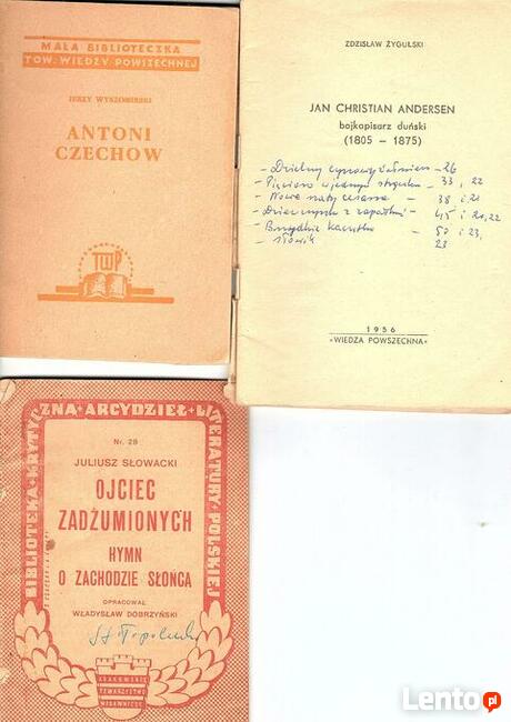 Opracowania literackie, bryki